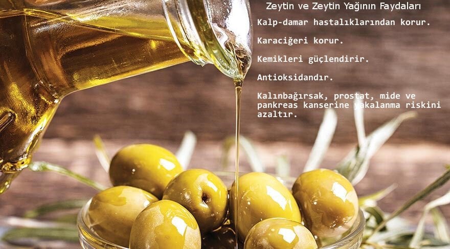 Türkiye'de Zeytinyağı Üretiminin Tarihçesi